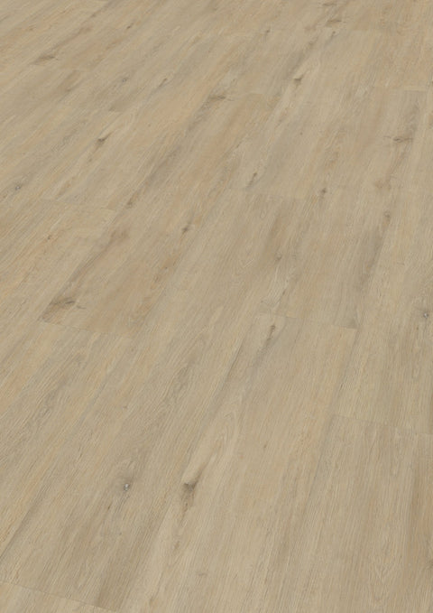 VINYLBODEN / EICHE NEUSTIFT Klickvariante - wearefloor