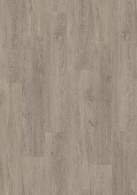 VINYLBODEN / EICHE VERONA Klickvariante - WEAREFLOOR