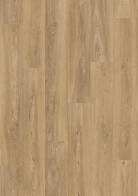 VINYLBODEN / EICHE WIEN Klickvariante - wearefloor