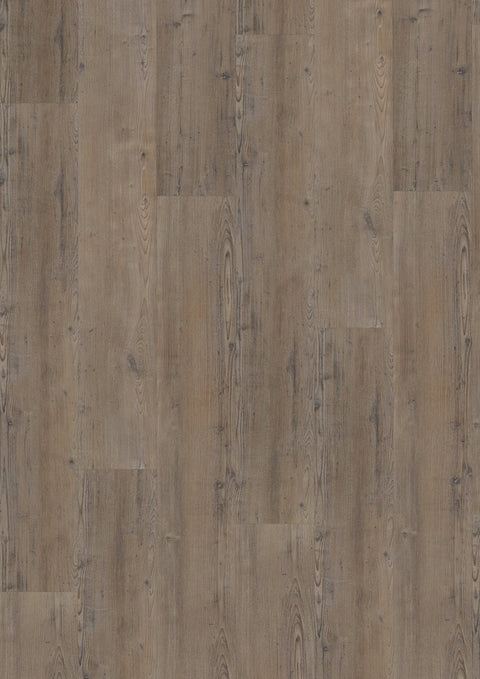 VINYLBODEN / NADELHOLZ SCHWARZWALD Klickvariante - wearefloor