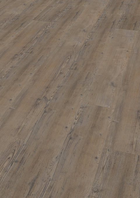 VINYLBODEN / NADELHOLZ SCHWARZWALD Klickvariante - wearefloor